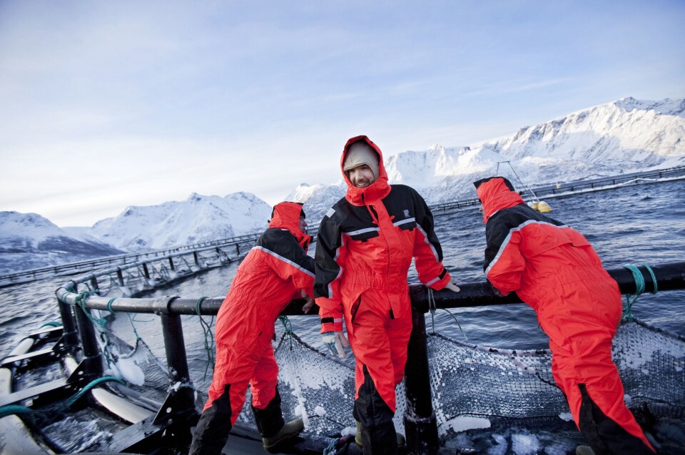 Grieg Seafood, Finnmark, merd, oppdrettsanlegg, arbeidere, is, snø, kaldt.