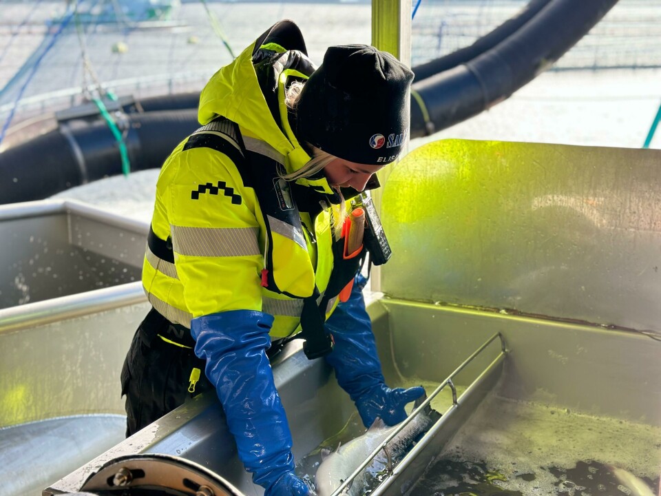 22-åringen har siden hun var svært ung, vært med sin far på jobb og lært om havbruksnæringen.