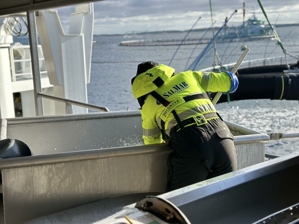 Benjaminsens hovedarbeidsoppgave er oppfølging av brønnbåt/eksterne avlusningsbehandlinger.