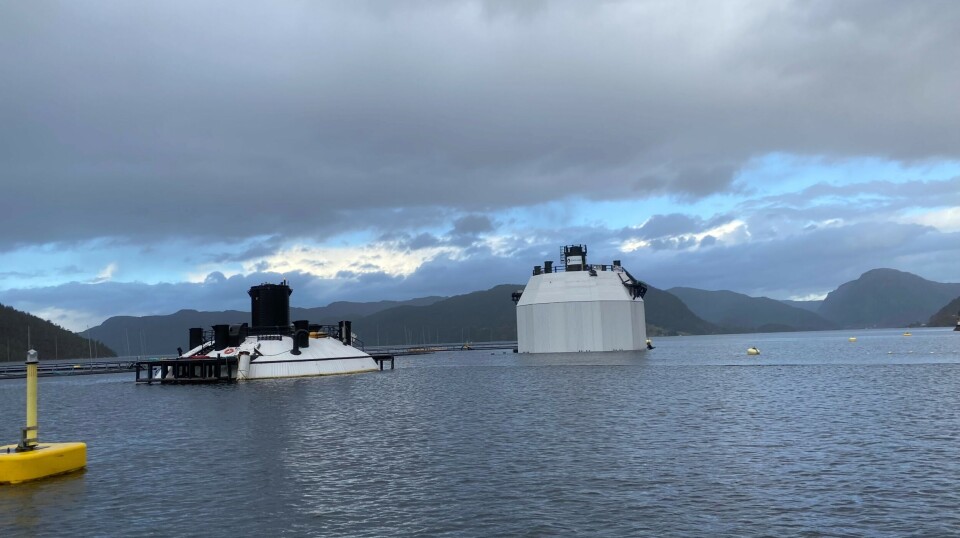 FishGlobe i Lysefjorden.