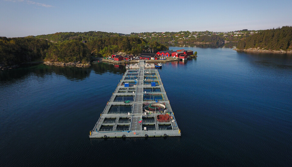 Det nye sjøanlegget i Austevoll ble åpnet i 2023 og er et av Europas største og mest avanserte forskningsanlegg.
Det nye sjøanlegget, bygget av Os-firmaet Nor-Mær, består av 16 merder, en egen flytekai og et
foringsanlegg.