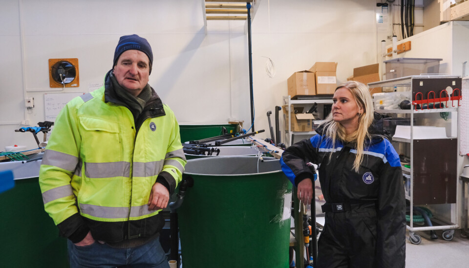 I februar tok Norsk fiskeoppdrett seg til Austevoll. Der møtte vi Seksjonssjef Kjetil Stensland og nyansatt avdelingsingeniør Malin Østervold.