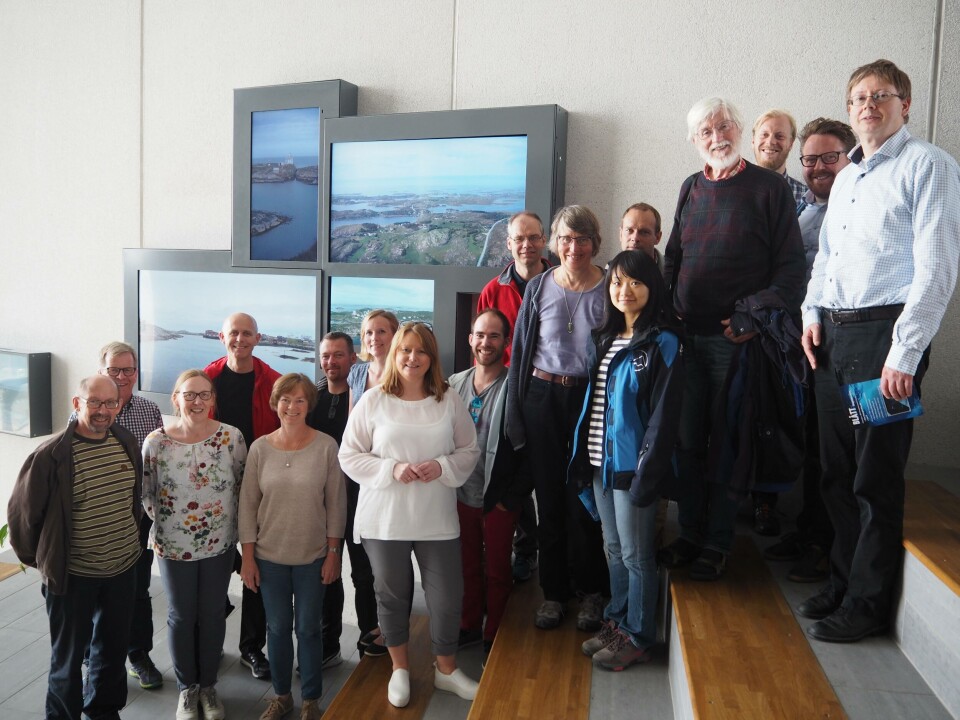 Fagpersonene som deltok på utfluktene på merdkanten. Bjørn Egil Asbjørnslett, Henrik Andersson, Hong Wang, Håkon With Andersen, Ingrid Bakke, John Hermansen, Jorun M. Stenøien, Jonhard Eysturskarð, Kristian Etienne Einarsrud, Lars Erik Holmedal, Daniel Beat Mueller, Roy Johnsen, Torunn Forberg, Turid Rustad, Håvard Holm, samt Heidi G. Nielsen fra Trøndersk Kystkompetanse og Lasse Kristiansen fra NTNU Brohode Frøya. Foto: NTNU Brohode Frøya. Fagpersonene som deltok på utfluktene på merdkanten. Bjørn Egil Asbjørnslett, Henrik Andersson, Hong Wang, Håkon With Andersen, Ingrid Bakke, John Hermansen, Jorun M. Stenøien, Jonhard Eysturskarð, Kristian Etienne Einarsrud, Lars Erik Holmedal, Daniel Beat Mueller, Roy Johnsen, Torunn Forberg, Turid Rustad, Håvard Holm, samt Heidi G. Nielsen fra Trøndersk Kystkompetanse og Lasse Kristiansen fra NTNU Brohode Frøya. Foto: NTNU Brohode Frøya.
