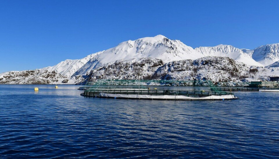 Havforskarane er i desse dagar på feltarbeid i Nord-Noreg i samband med SalCod-prosjektet.