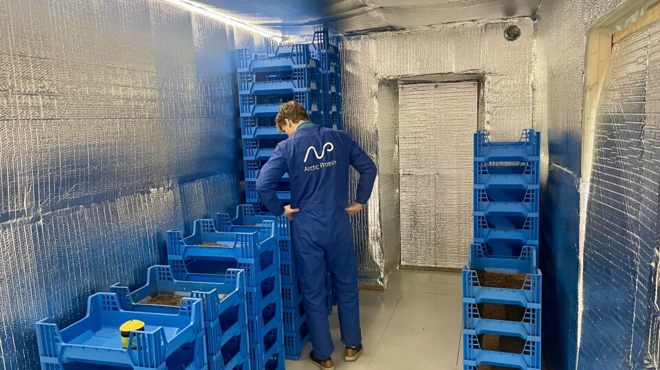 Eirik Kristoffer Myking og hans team i Arctic Protein vil etablere larveproduksjon i Balsfjord.