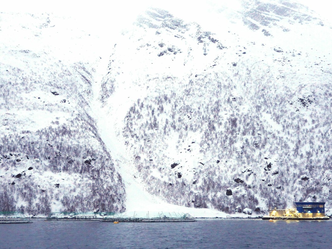 Grieg Seafood opplyser at det ikke har skjedd noe stor rømming fra deres anlegg etter at det mandag morgen ble truffet av et snøskred. Foto: Narve Leonhardsen/Fiskeridirektoratet.