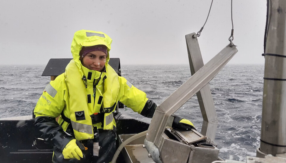 Innsamling av sediment