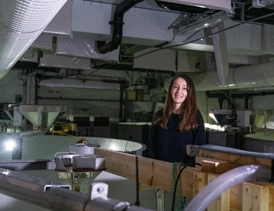 Forsøket ble gjennomført som masteroppgaven til Emma Barbier som tok oppgaven som Erasmus Mundus student.