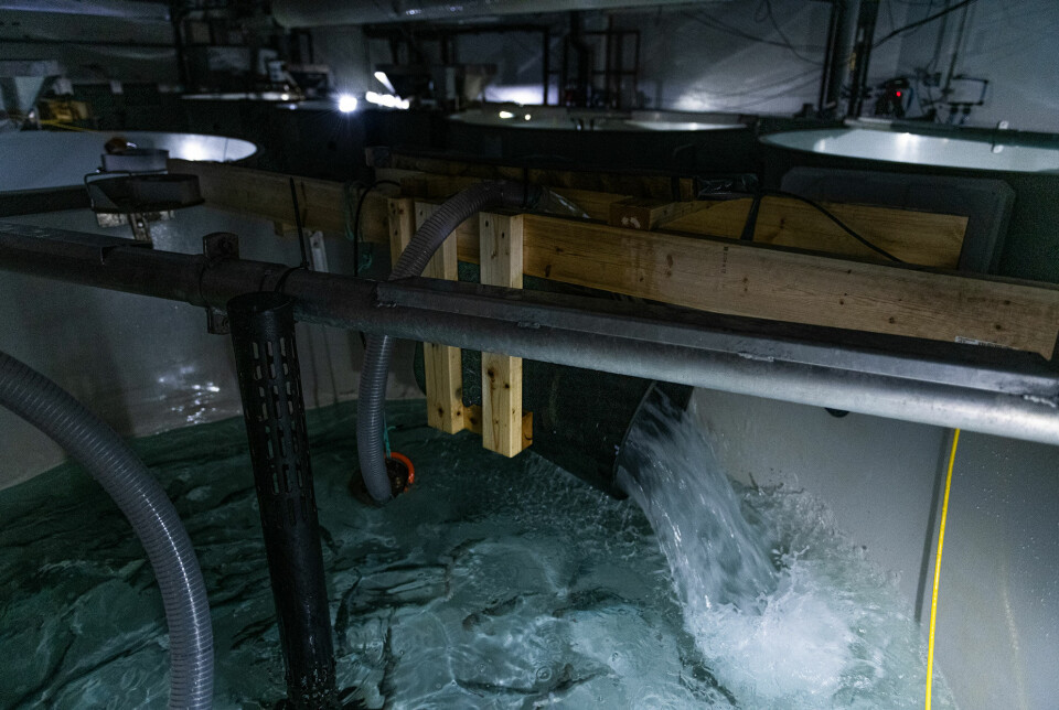 I slike kar ble forsøket gjennomført. Hvert kar hadde to bøtter som kontinuerlig ble fyllt opp med 100 liter vann. Det tok ca. 20 - 25 sekund å fylle en bøtte. De fulle bøttene tippet over og tømte vannet ut i karet slik at det oppsto 'bølger'.