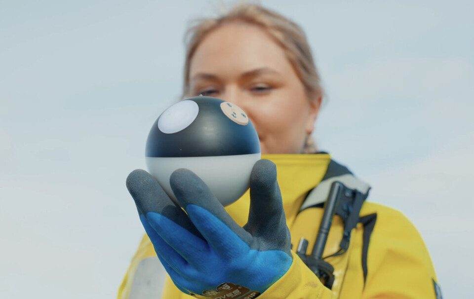 Sensor Globe har over flere år jobbet med å utvikle en trengesensor, som de nå lanserer i forbindelse med Havexpo-messen i Bergen i begynnelsen av mai.