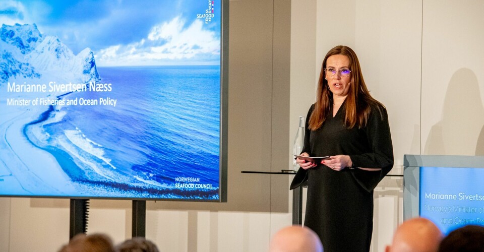 Fiskeri- og havminister Marianne Sivertsen Næss under et innlegg hun holdt på Seafood Expo Global i Barcelona.