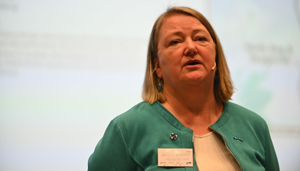 Karin Kroon Boxaspen er leder for styringsgruppen, som gir råd til NFD om Trafikklyssystemet.