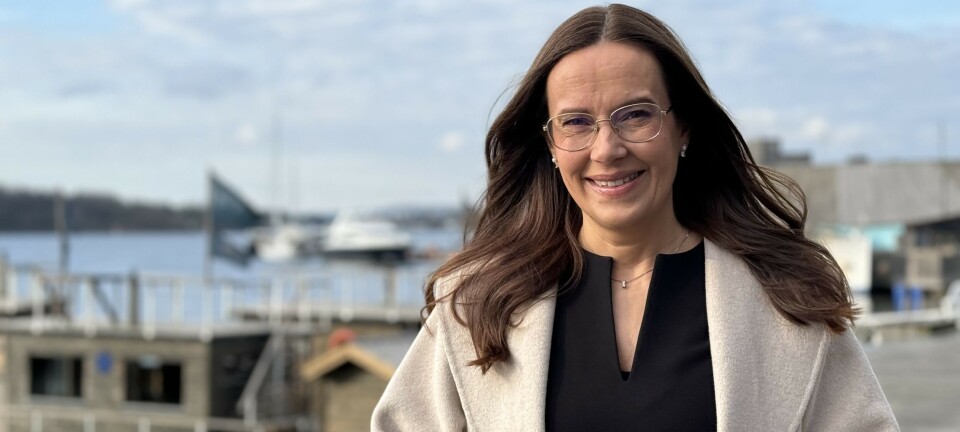 Svarer om manglende konverteringsordning