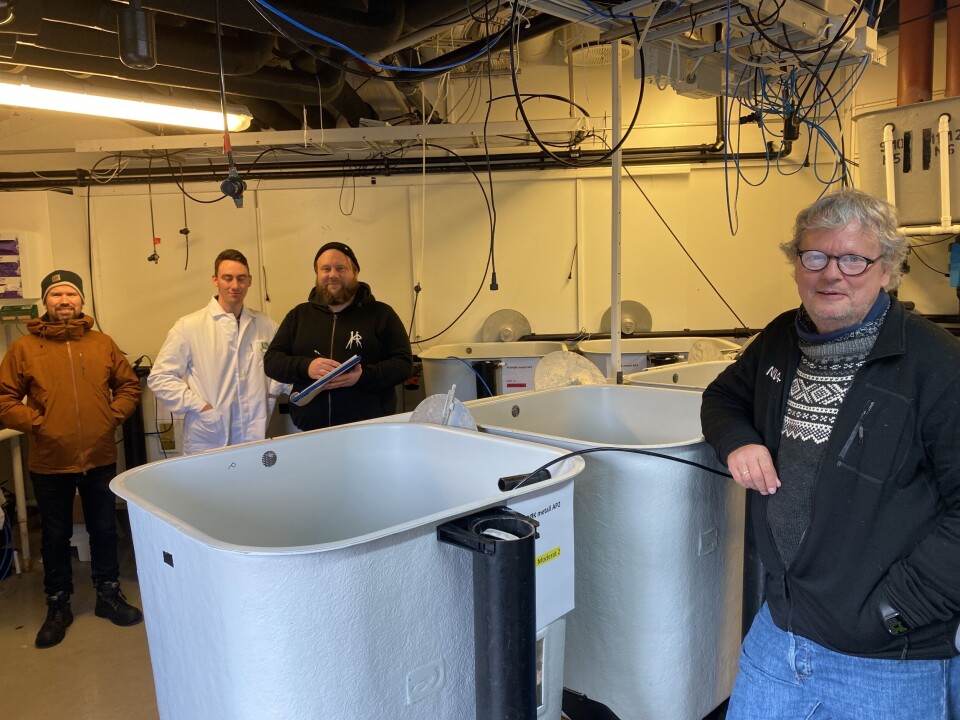 Forskningsteamet som var ansvarlig for fisken og sinkeksponeringen på ILAB. Fra venstre: Endre Steigum (NIVA), Markus Valle Sjøstrand (ILAB), Kristian Ulven
(ILAB) og Rolf David Vogt (NIVA).