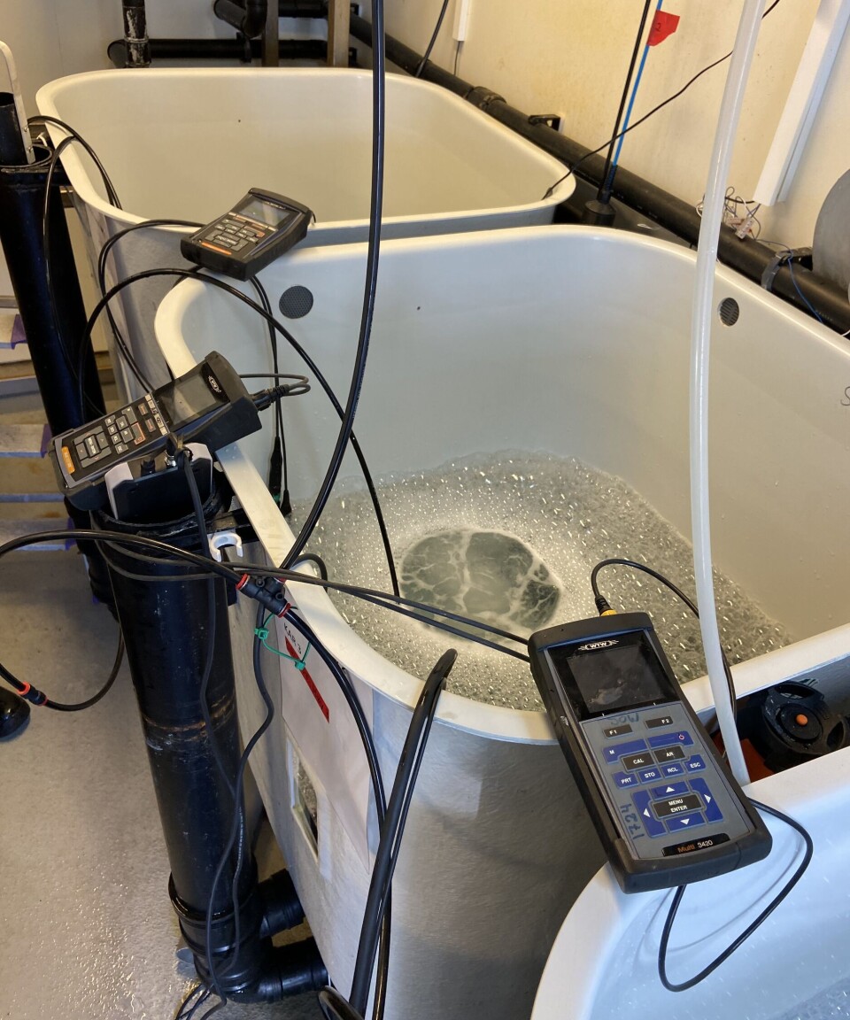 Forsøkskar med lufting og instrumenter for å overvåke kjemiske og fysiske parametere under forsøket
på ILAB.