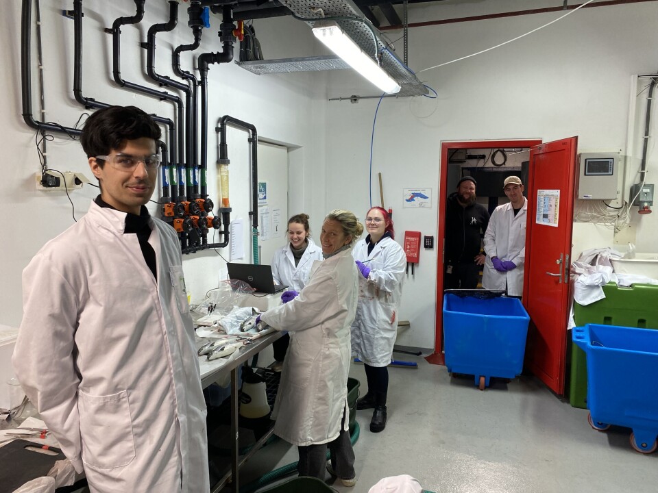 Forskningsteamet som var ansvarlig for prøvetakning av laksen under forsøket på ILAB. Fra venstre: Oscar Hanson (masterstudent ved UIB), Siw Frantzen
(NIVA), Sara Calabrese (NIVA), Frida Sol Svendsen (NIVA), Kristian Ulven (ILAB) og Markus Valle Sjøstrand (ILAB).