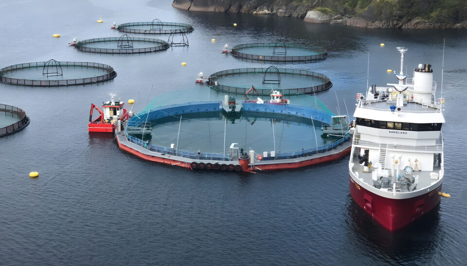 Før produksjon med nedjustert kapasitet kan starte, må oppdretteren sende dokumentasjon til Fiskeridirektoratet.