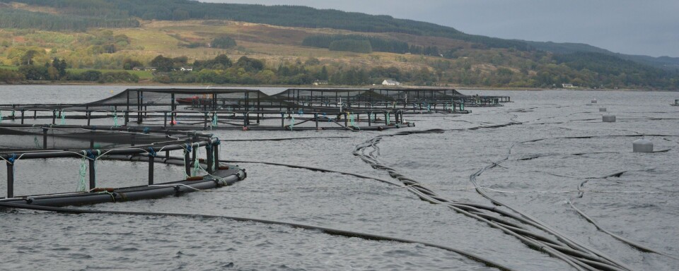 Foto: Norsk Fiskeoppdrett