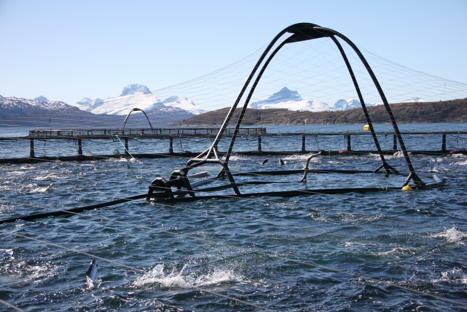 Illustrasjonsfoto: Marine Harvest. Illustrasjonsfoto: Marine Harvest.