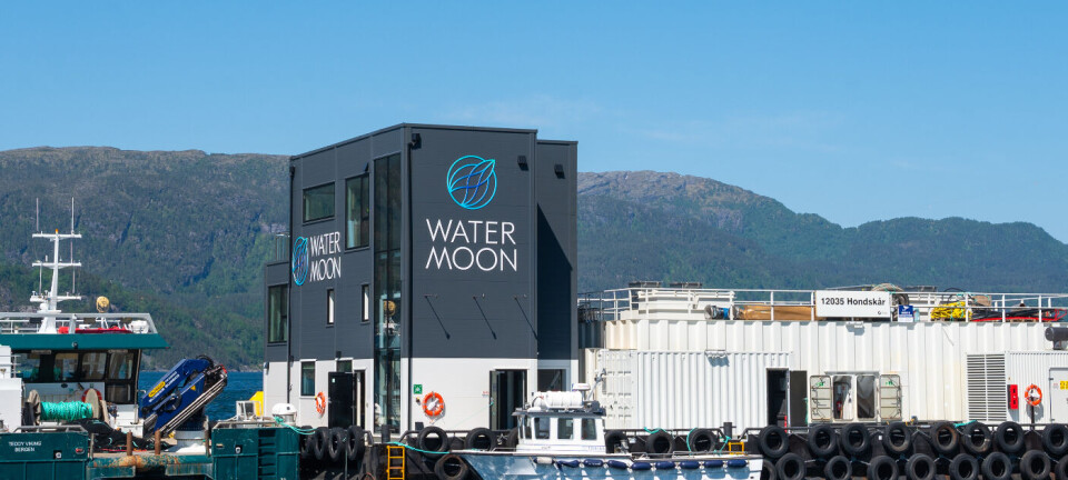 Dette er «Watermoon»