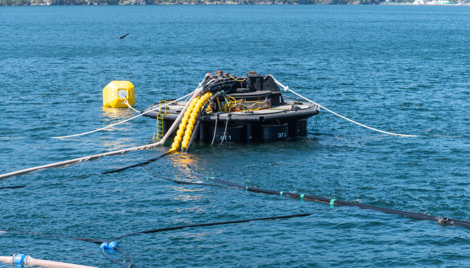 Watermoon var en av to teknologier Eide Fjordbruk så for seg å bruke på lokalitet Midthjell. Det andre alternativet var Ecomerden.