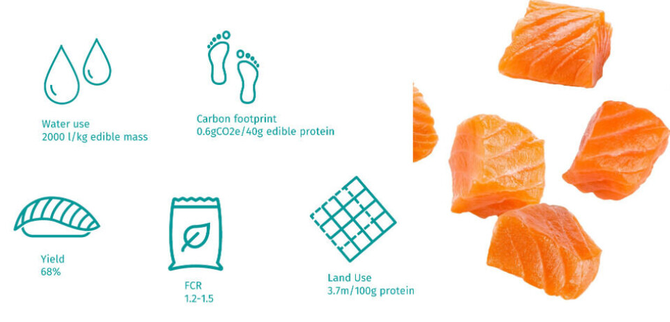 Figur 1: GSI fotavtrykk laks