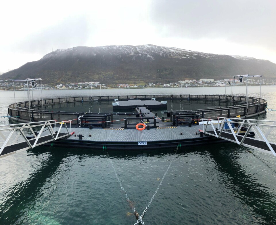 Visningsmerden er en del av formidlingen til det planlagte visningsenteret i Harstad. Merden vil ha dobbelt rekkverk og en plattform. Salaks har søkt om visningstillatelse hos Fiskeridirektoratet, og venter nå på svar fra direktoratet. Illustrasjon NOFI
