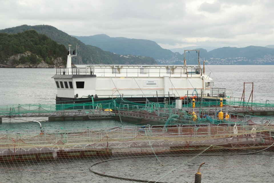 Blom Fiskeoppdretts anlegg ved lokalitet Laksevika. Arkivfoto.