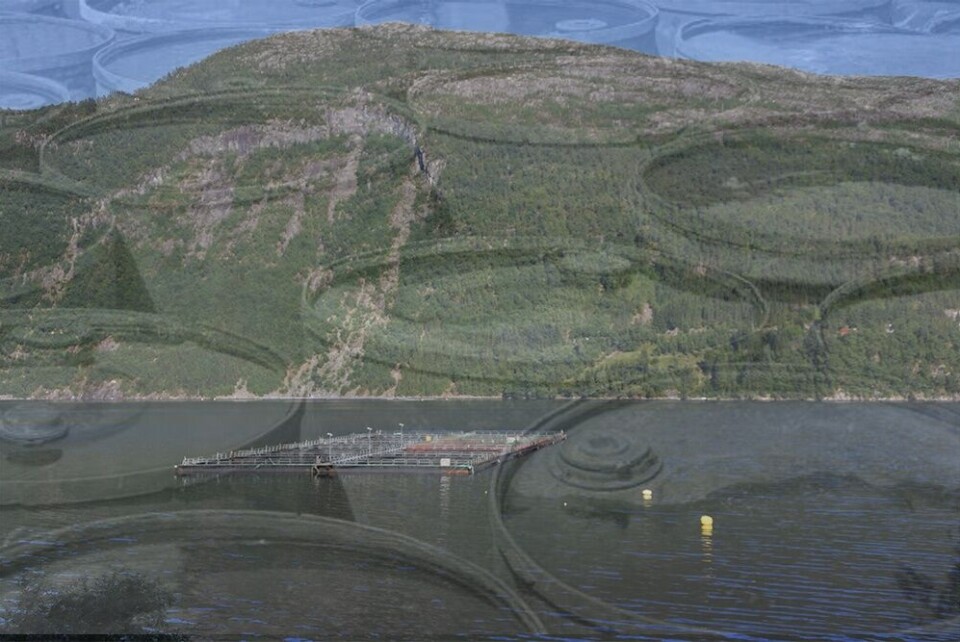 Virkeligheten når det kommer til legemiddelbruk er noe mer nyansert enn det man kan få inntrykk av. Illustrasjonsfoto: Pål Mugaas Jensen.