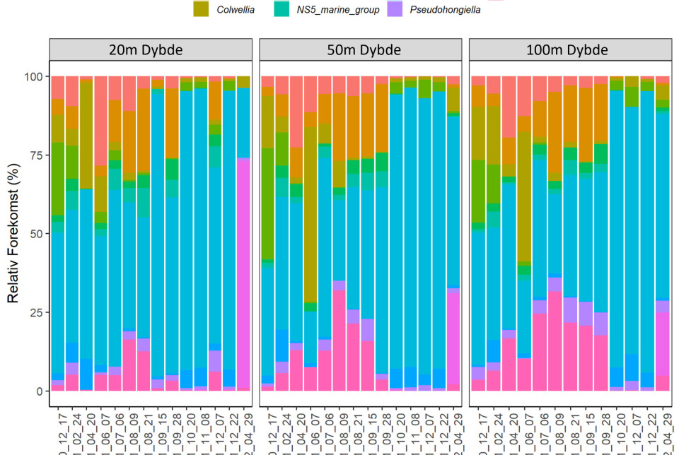 NGS og Mikrobiell Samfunnsanalyse: Hva er det?