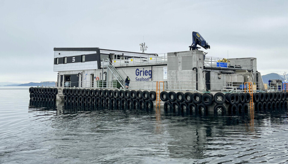 Grieg Seafood Rogaland sin lokalitet Teistholmen.