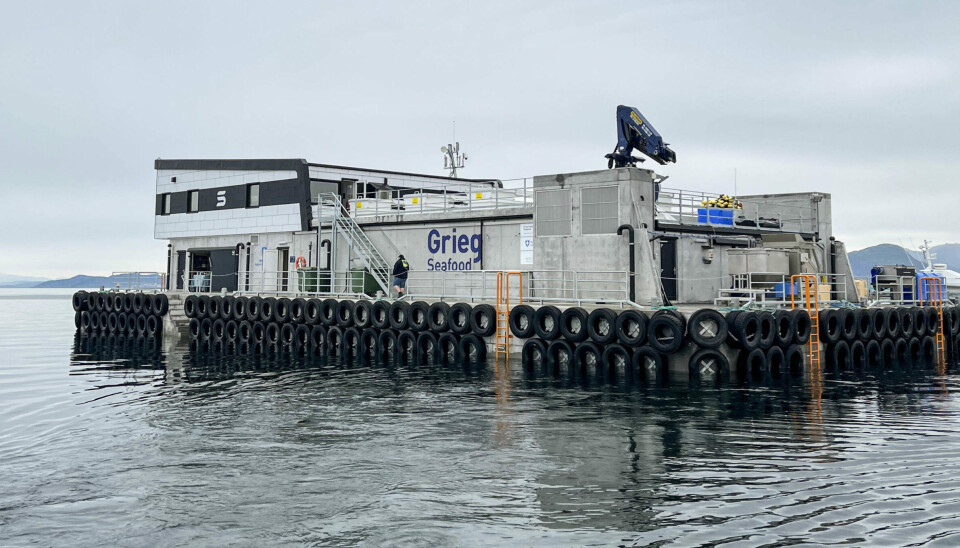 Grieg Seafood Rogaland sin lokalitet Store Teistholmen. Til tross for stor Grieg Seafood-logo på flåten, mente politiet det var vanskelig å si hvem som eide lokaliteten på natten.
