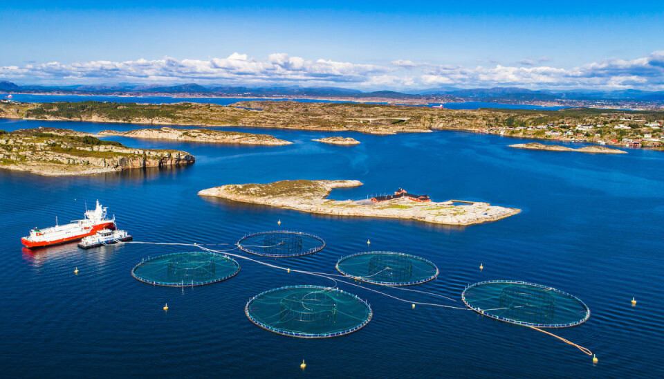Nærings- og fiskeridepartementet har nå fastsatt antall tonn til auksjonen