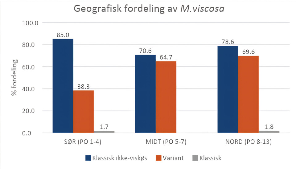 Figur 2 - Fordeling (%) av ulike typer Moritella viscosa per region for vinteren 23/24.
