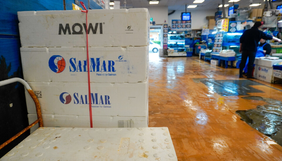 Mowi og SalMar-fiskekasser på fiskemarked i Sør-Korea.