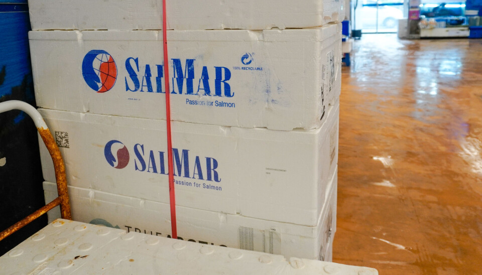 Mowi og SalMar-fiskekasser på fiskemarked i Sør-Korea.
