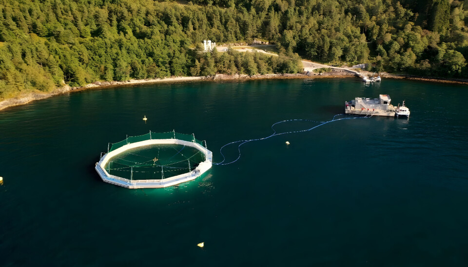 Alternativ 1: Ecomerden på lokalitet i Sognefjorden hos Osland Havbruk.