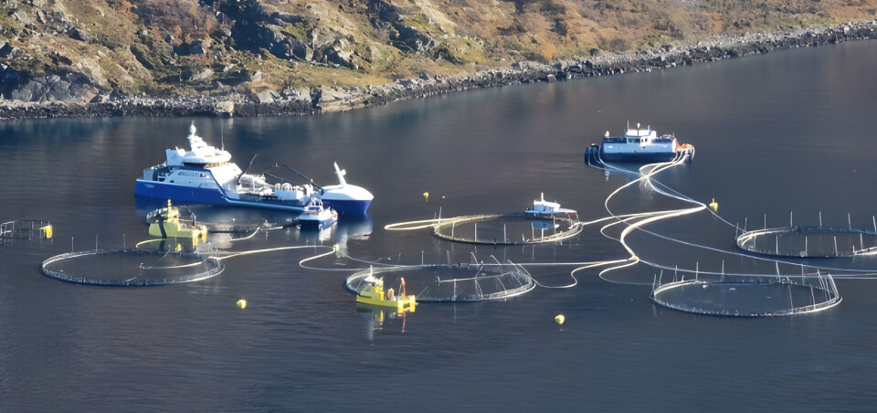 Grieg Seafood Finnmark sin lokalitet Vegglandet, i Hammerfest kommune.