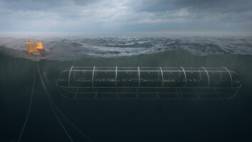 Ett av selskapets fire konsepter: offshore merden, Beck Cage. Illustrasjon: Marine Harvest