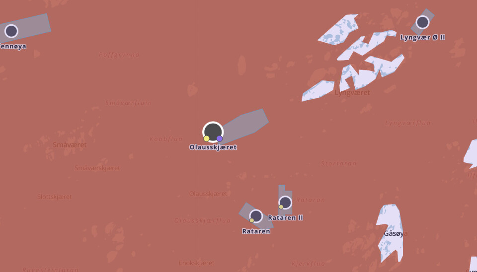 Skjermdump fra den aktuelle lokaliteten.