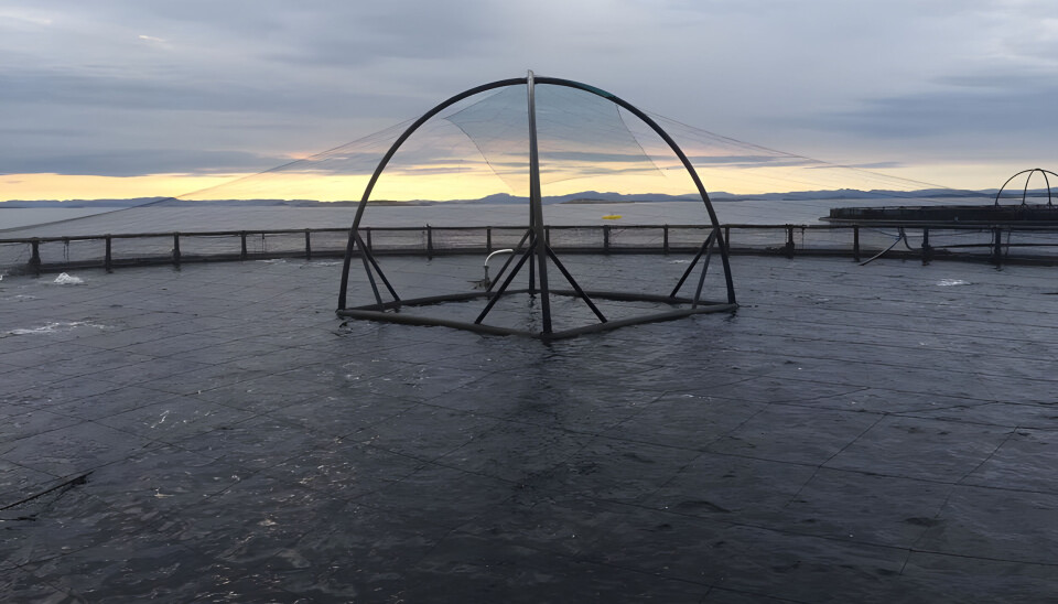 Salmar sin lokalitet Bondøya.