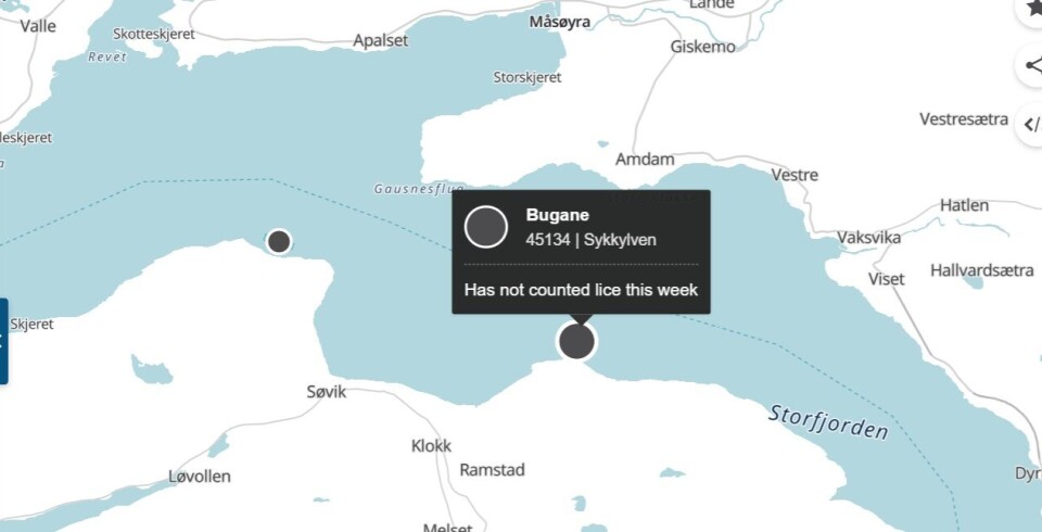 Det er påvist BKD ved lokalitet Bugane i Sykkylven kommune i Møre og Romsdal.