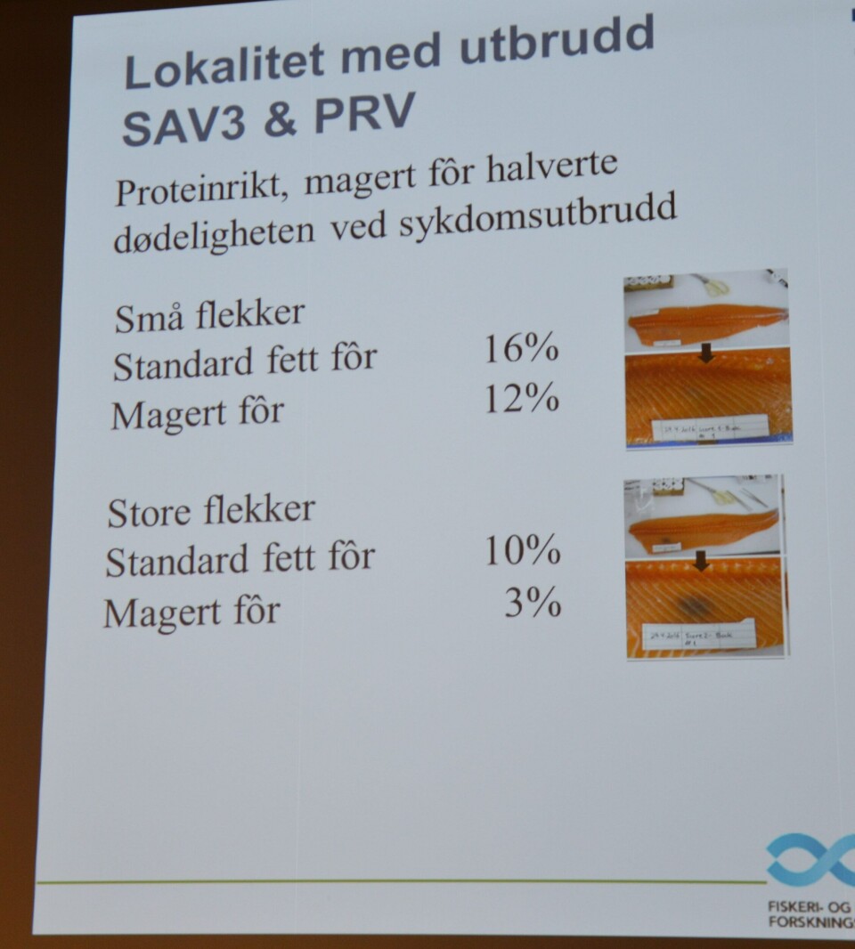 Turid Mørkøre deler funn fra forskning relatert til melaninflekker ved infeksjon av Sav3 og PRV hos laks. Foto: Katarina Berthelsen.