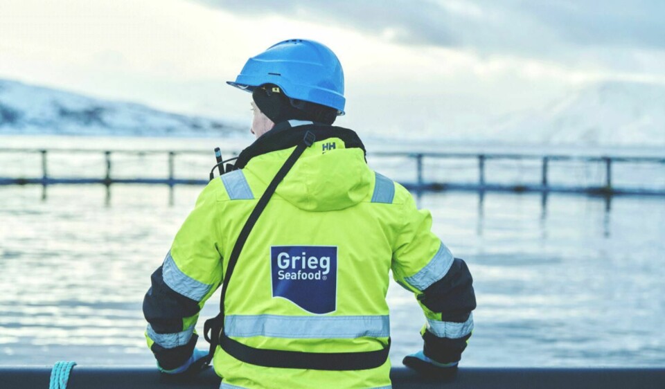 Grieg Seafood norske anlegg produserte for 42 kroner kiloen i første kvartal av 2022, kommer det frem i en børsmelding. Foto: Grieg Seafood.