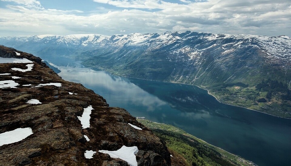 Foto av Hardangerfjorden.