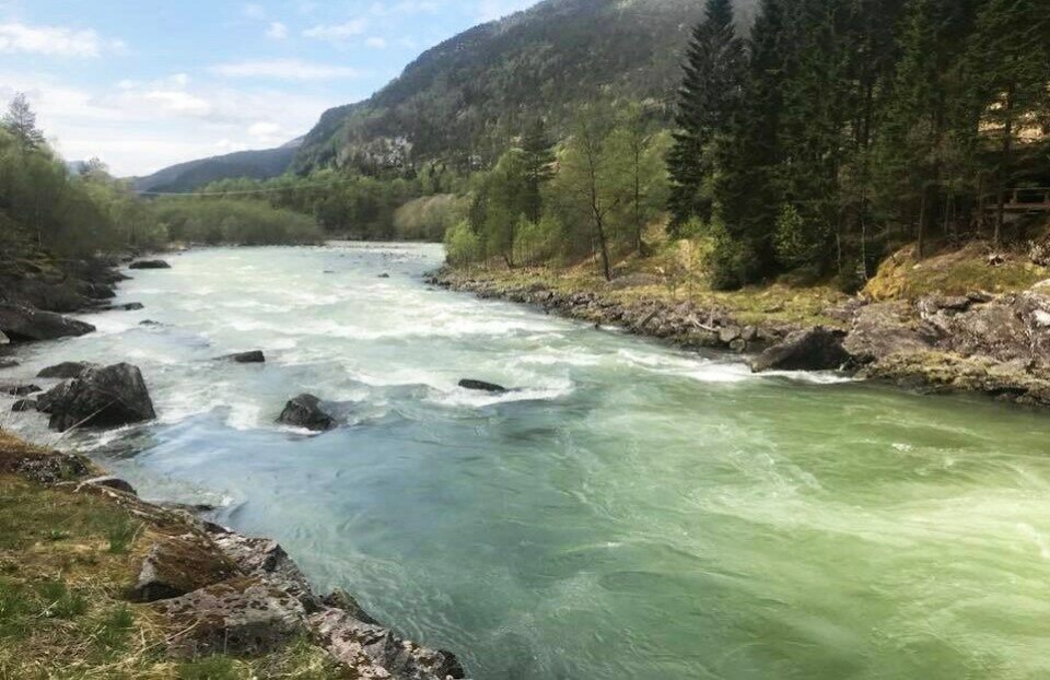 Ved Myster kraftverk oppdaget en av fagfolkene i Uni Research i mai 2018 at vannet i lakseelven Ekso var blakket og «bruste». Forklaringen var en tett inntaksrist, som medførte at luft kom inn i vannet. Mange fisk døde som følge av gassovermetning. Video: Uni Reseach.
