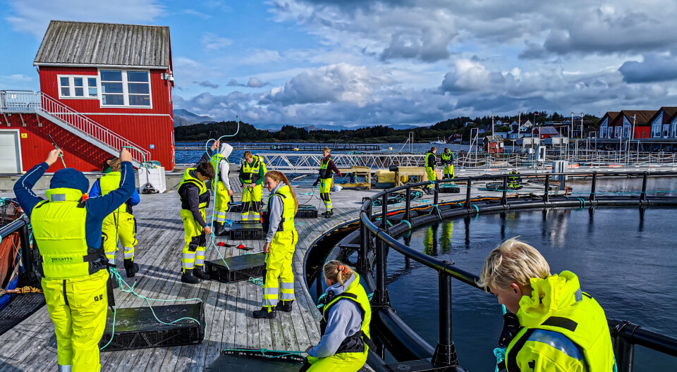 Campus Blå melder om gode nyheter fra Brønnøysund. Avbildet er noen elever i praksis på merdkanten.