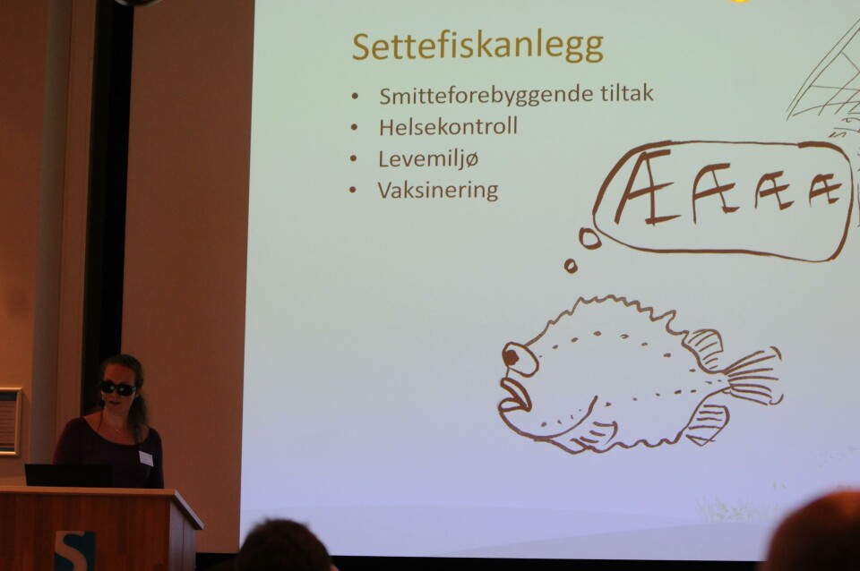 Mattilsynet skal sjekke hvordan rensefisken har det og behandles rundt om i næringen. Ingrid Torstensnes kan berette om et omfattende tilsyn. Mattilsynet skal sjekke hvordan rensefisken har det og behandles rundt om i næringen. Ingrid Torstensnes kan berette om et omfattende tilsyn.