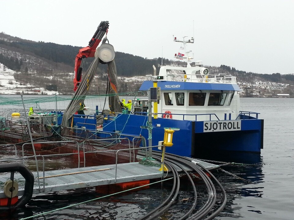 DG Marine, Sjøtroll Havbruk, arbeidsbåt, MS Trollholmen
