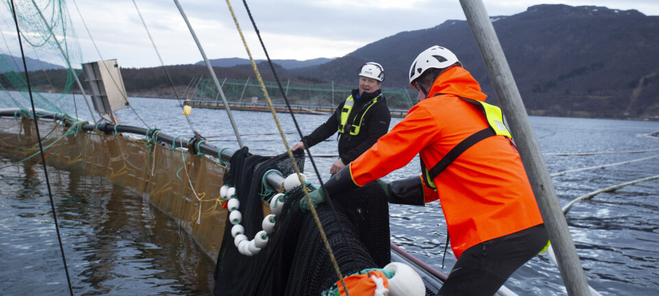 - 2023 ble gjennombruddet for oss